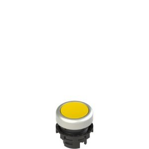 E21PL2R5290